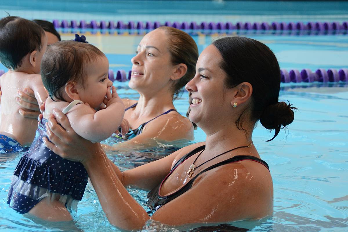 excelentes programas